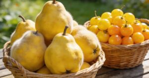Pigwa a pigwowiec – czym się różnią te owoce i jak je uprawiać w ogrodzie?
